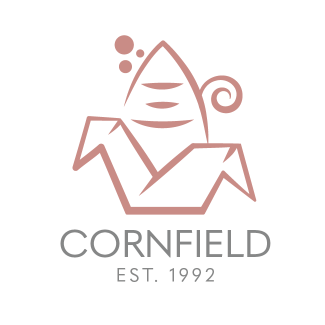 CDC_2025_Logo_icon_CDC_Icon_Wt_BG